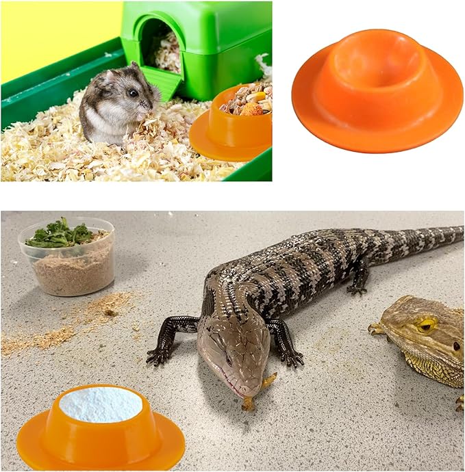 2 Pack Leopard Gecko Food Dish Gecko Calcium Dish Reptile Water Food Bowl Calcium Bowl for Bearded Dragon Lizard Turtle Gecko Jumping Spider