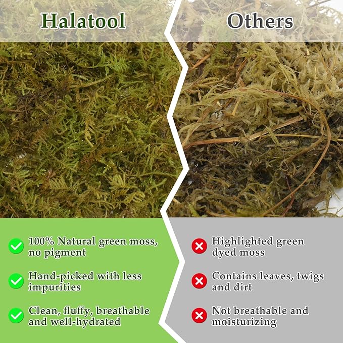 Halatool 1.5LB Natural Sphagnum Moss for Reptiles- 80QT Green Moss for Terrarium Plants Long Fiber Reptile Moss for Leopard Gecko Snake Hamsters Tortoises Frogs Lizards Salamanders