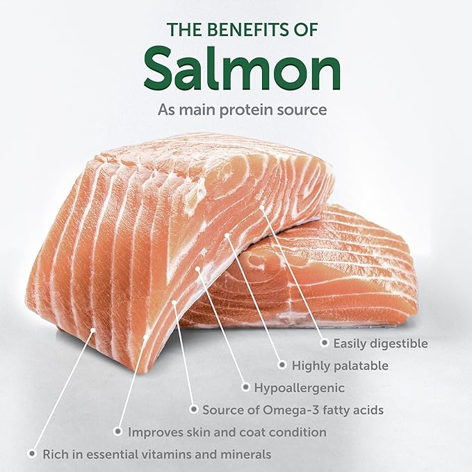 Nature's Protection Superior Care Grain Free Dry Dog Food - for Puppies & Mothers of All Breed Light Coated Dogs - Balanced, Super Premium Food for Puppy - 1 Pack of 3.3lb Salmon