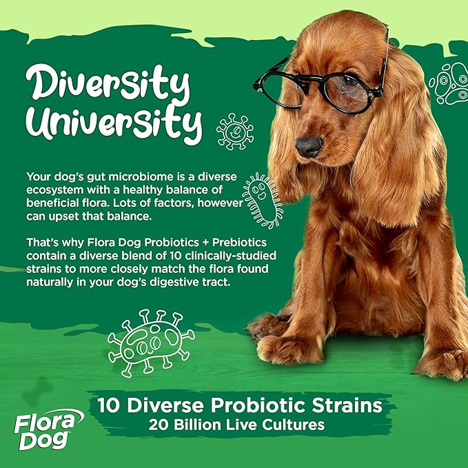 Vital Planet - Flora Dog Probiotic Powder Supplement with 20 Billion Cultures and 10 Strains, High Potency Immune and Digestive Support Probiotics for Dogs, 7.84 oz., 222 Grams, 60 Servings