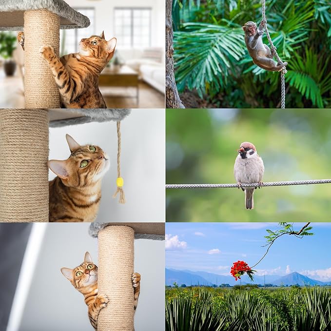 Premium Brazilian Sisal Rope, Natural Fiber 100% Sisal, Ultra Durable, Chemical-Free, Ideal for DIY, Cats, Scratching Post Replacement, Home Decor, Garden, Crafting (1/6” 100 ft / 4mm 30m)