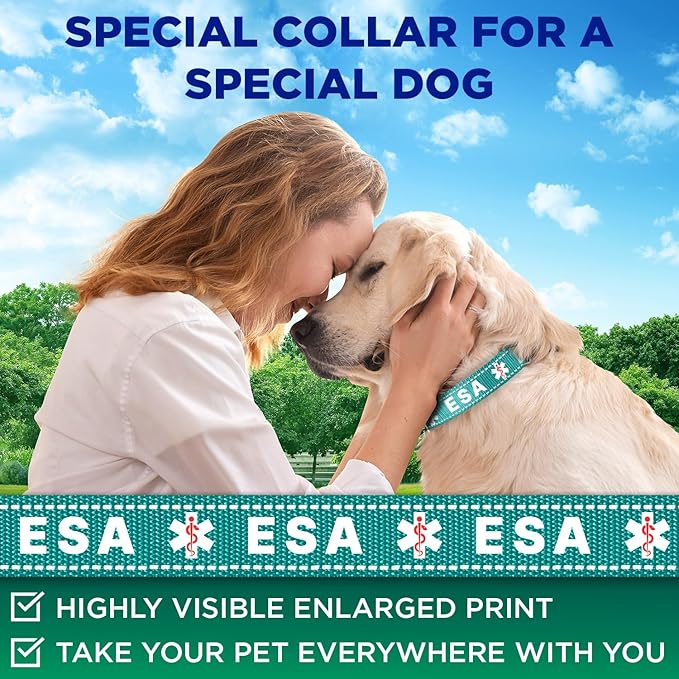 TECEUM Reflective Pet Collar β Teal - ESA β XL β Extra Soft Padding β Basic Nylon Dog Collar β Quick Release Buckle β Fits Small, Medium and Large Dogs, Puppies, Cats β ESA & Service Dog Options