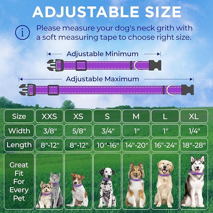 TECEUM Reflective Dog Collar β Purple β XS β Extra Soft Padding β Basic Nylon Pet Collar β Quick Release Buckle β Fits Small, Medium and Large Dogs, Puppies, Cats β ESA & Service Dog Options