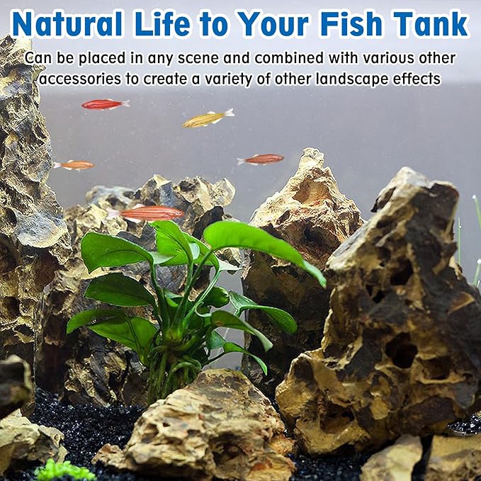 Hamiledyi 5 PCS Natural Aquarium Rocks 2" to 9" Dragon Stone Aquarium Decor Rocks Aquascape Rocks Landscaping Model for Fish Tank Terrariums Vivariums