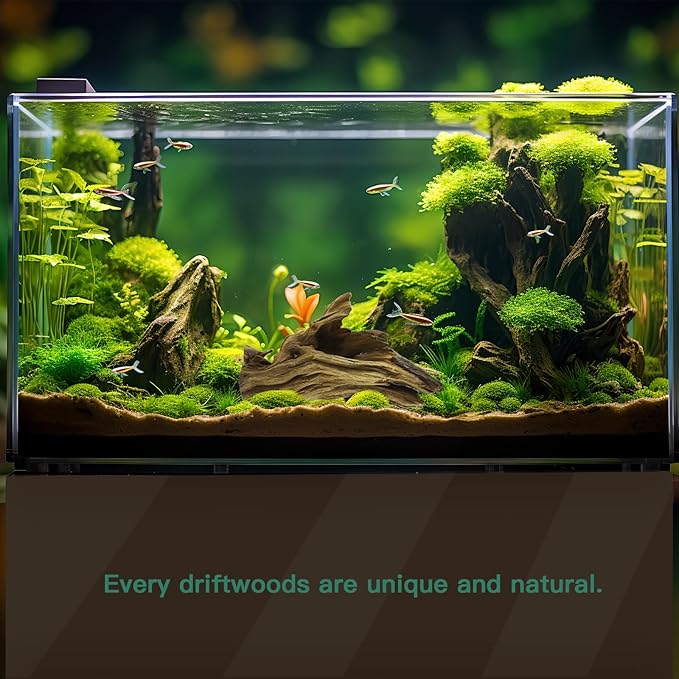 Driftwood for Aquarium, 3 Pieces 6-10" Natural Small Drift Wood Fish Tank Assorted Branch Decorations Pieces for Reptile Hide