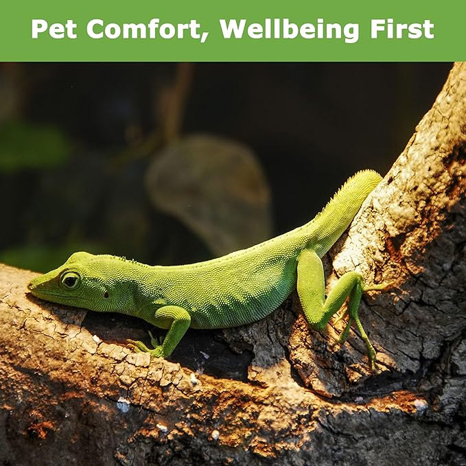 Reptile Heat Lamp Bulbs 75W E26 - UVA Basking Spot Light for Reptiles - Simulated Sunlight for Bearded Dragon, Lizard, Tortoise, chickss and More | 2 Pack