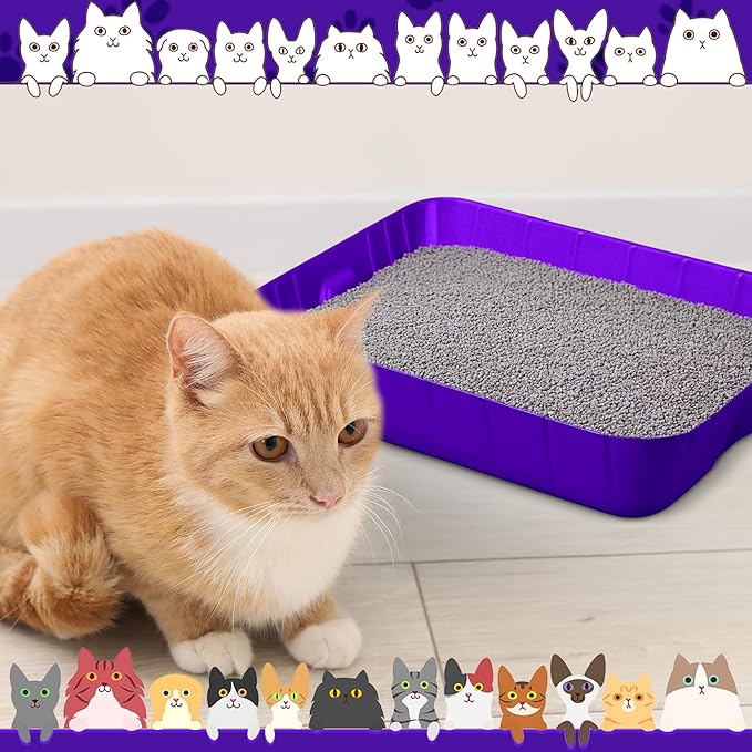 Bokon 25 Pcs Disposable Litter Boxes for Cats Plastic Cat Litter Tray Large Kitten Pan for Kitty Rabbit Guinea Pig Hamster Pets Supplies Travel Home Toilet, 15.7 x 11.8 x 3 Inches (Purple)