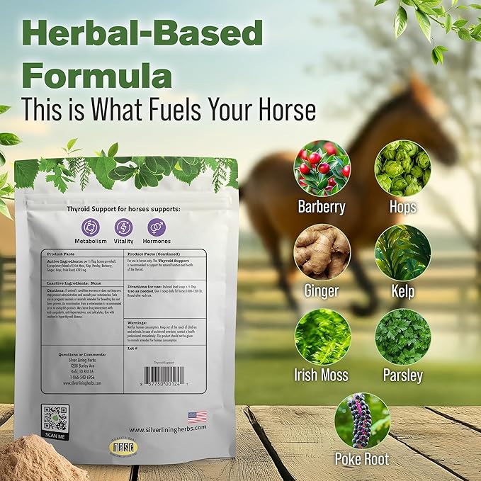 Silver Lining Herbs Thyroid Support for Horses β Herbal Horse Supplement for Normal Thyroid Function, Hormone Balance & Healthy Metabolism with Irish Moss, Kelp, Parsley β 120-Day Supply