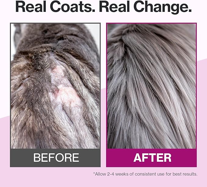 Dr.by Cat Silk Derma Lickable Feline Skin and Coat Supplement - Dandruff Treatment & Itchy Skin Relief Allergy Support for a Glossy Coat Immune Boosting Formula - 30 Individual Treat Tubes
