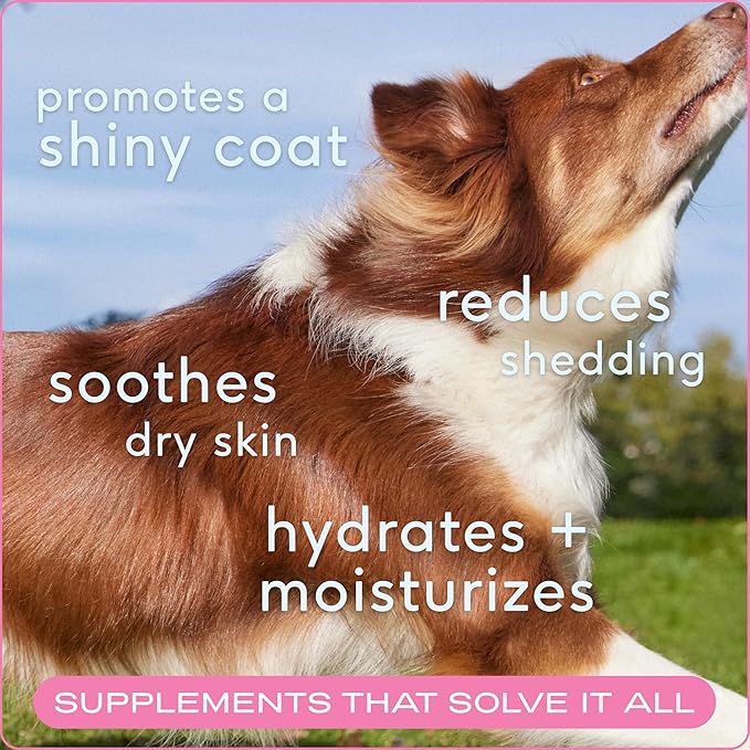 Native Pet Omega Skin and Coat Chews for Dogs - Dog Skin and Coat Supplement for Healthy, Shiny Fur, Reduce Shedding and Dry Spots - Made with Omega 3 Fish Oil and Wild-Caught Salmon Oil - 120 Chews