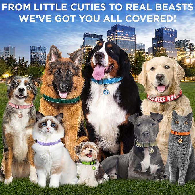 TECEUM Reflective Dog Collar β Olive β M β Extra Soft Padding β Basic Nylon Pet Collar β Quick Release Buckle β Fits Small, Medium and Large Dogs, Puppies, Cats β ESA & Service Dog Options