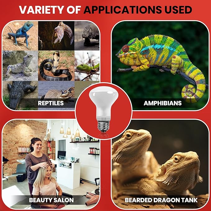 50 Watt Reptile Heat Bulb, 50 Watts UVA Basking Light Bulbs for Reptiles, Terrarium Basking Heat Lamp for Bearded Dragon,Lizard,Turtle,Snake, UVA Reptile Light Bulb E26 Base 2 Pack