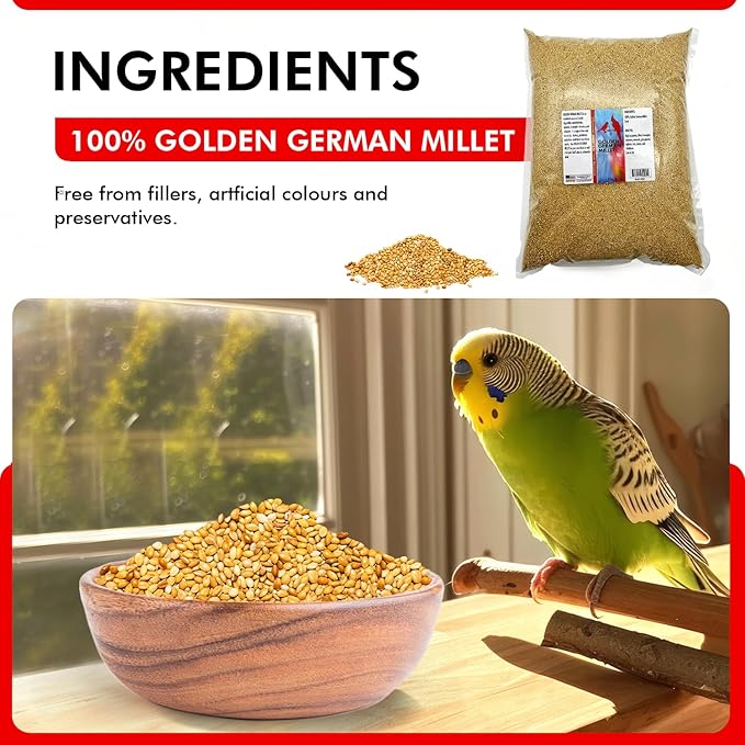 Morning Bird Golden German Millet – Bird Seed & Parakeet Food with Protein, Vitamin B & Fiber – Easy-to-Digest Millet Seed, Natural Food & Daily Nutrition Supplement for All Type of Bird 9 lbs