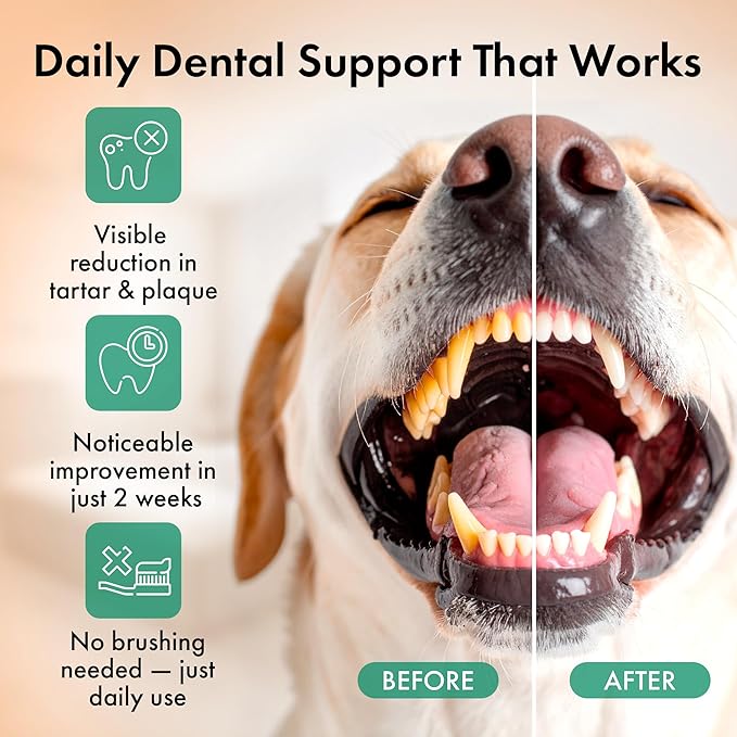 Dog Dental Powder – Dog Breath Freshener – Plaque and Tartar Remover for Dogs, Bad Breath Treatment, Natural Tooth Cleaning Powder for Dogs of All Breeds and Sizes – Oral Care Supplement for Pets