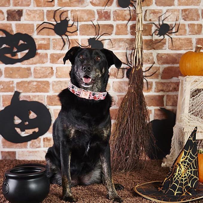 Elegant little tail Halloween Dog Collar, Autumn Pet Collar Durable Pink Dog Collars Male or Female Holiday Pet Gift Adjustable Dog Collar for Small Dogs