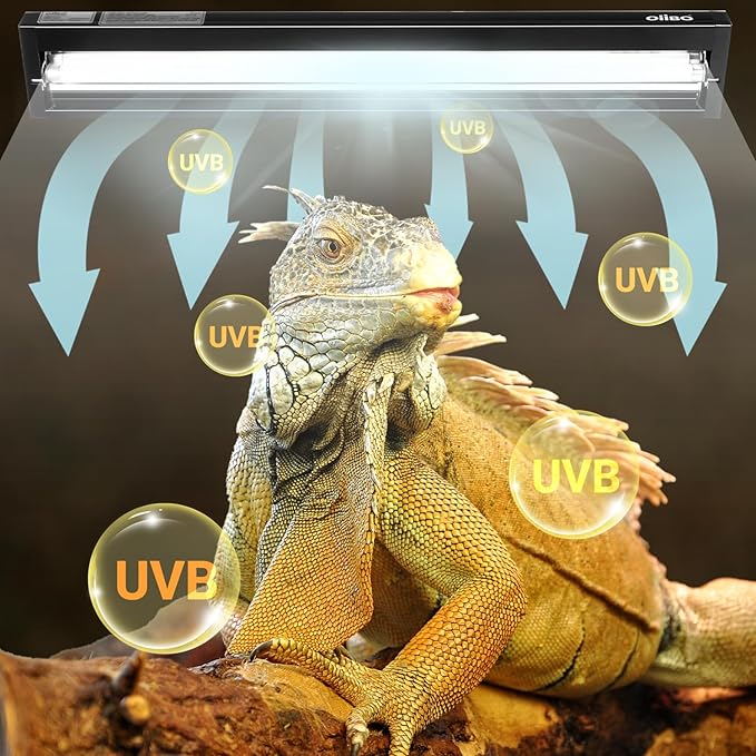 Oiibo T5 HO Reptile Light Fixture UVB Lighting Combo Kit, Reptiles Terrarium Lamp Hood Light Fixture Include UVB 10.0 Desert Reptile Light for Bearded Dragon Gecko Lizard (24W)