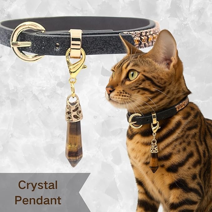 PEARLY JUN Rhinestone Dog Collars for Small Dogs Cat, XS Champagne Bling Diamond Cat Collar Cute Luxury Crystal Pet Puppy
