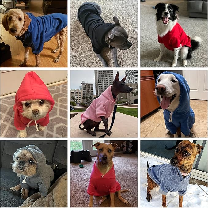 KOOLTAIL Basic Dog Hoodie - Soft and Warm Dog Hoodie Sweater with Leash Hole and Pocket, Dog Winter Coat, Cold Weather Clothes Sweatshirt for Small Medium Large Dogs Puppy Cat Boys Girls Lake Blue XL