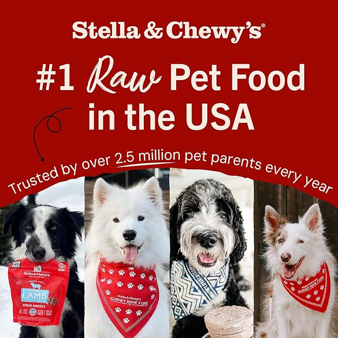 Stella & Chewy's Freeze Dried Raw Dinner Patties – Crafted for Puppies – Grain Free, Protein Rich Perfectly Puppy Chicken & Salmon Recipe – 14 oz Bag