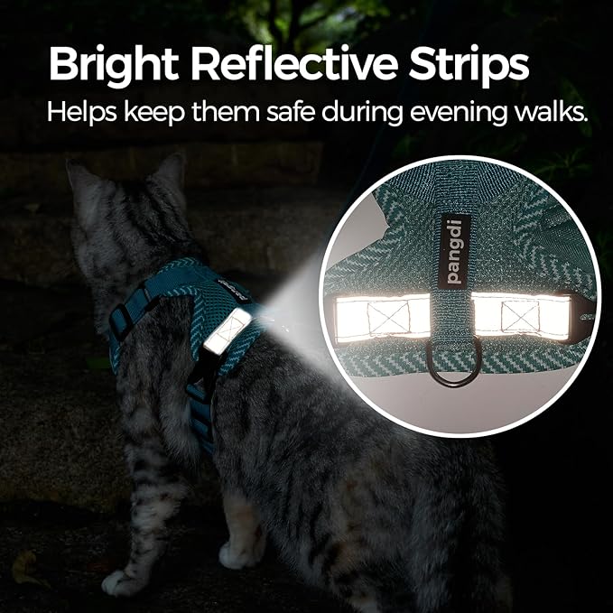 Cat Harness and Leash Escape Proof Large Kitten Harness Ragdoll Cat Vest for Walking Travel, Turquoise, L