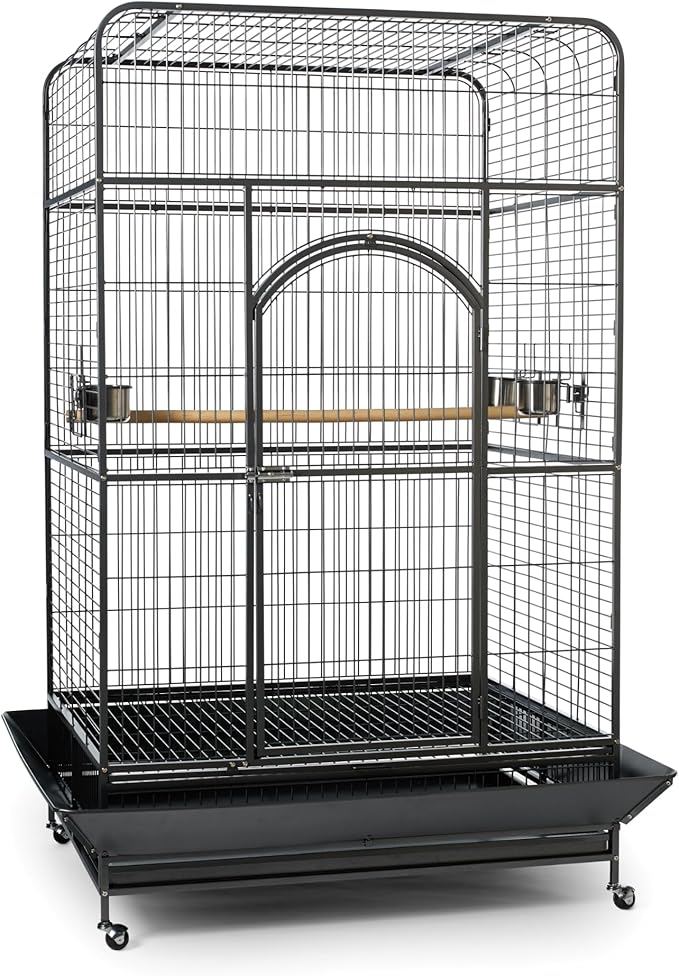 Prevue Pet Products Empire Bird Cage, X-Large, Black Hammertone,46" L x 36" W x 78 1/4" H