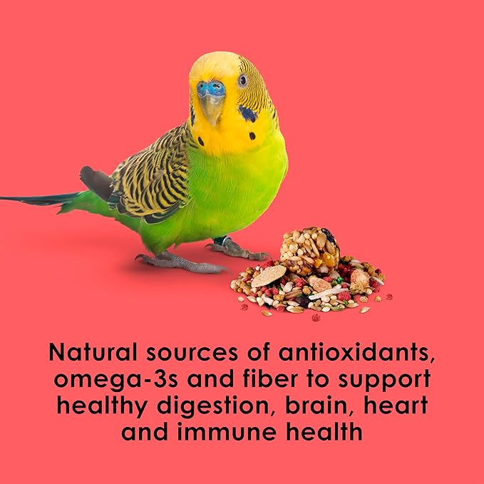 Kaytee Fiesta Parakeet Food, Nutritious and Fun Blend, Supports Skin, Feather, Digestion, Brain and Heart Health, 2 pounds
