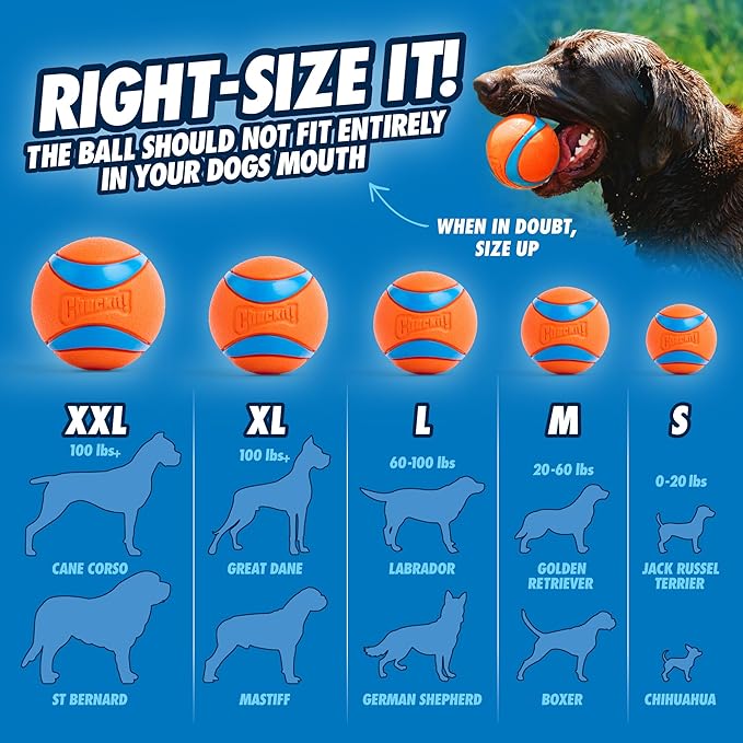 Chuckit Pro Fetch Toy Ball Launcher For Dogs; Compatible With Any Medium Chuckit! Medium Size 25 Inch + Glow Ball
