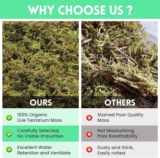 Riare 14 OZ Premium Sphagnum Moss for Reptiles- 20QT Natural Live Moss Reptile Moss Bedding for Terrarium, Hatching, Forest Sphagnum Moss Reptile Substrate for Snakes, Gecko, Turtles, Frogs, Leopard