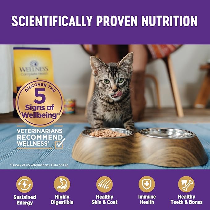Wellness Complete Health Pate Kitten Wet Cat Food, Natural, Protein-Rich, Grain Free, 5.5 Ounce, 24 Pack, (Whitefish & Tuna)