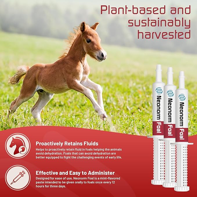 Jaguar Animal Health Foal - Equine Supplement Paste for The Support of Proper Hydration & Bowel Health - Plant-Based Product for Pre-Weaned Foals (30 mL)