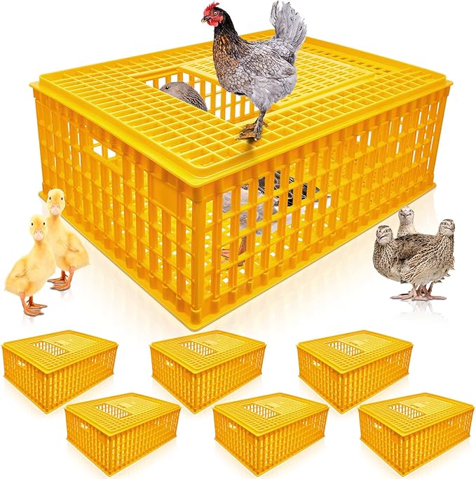 Sintuff 2 Pieces Poultry Carrier Crate Plastic Chicken Transport Cage Bird Carrier Chicken Carrier Travel Crate Basket Box for Poultry Chicken Bird Duck Goose, 29.5 x 21.7 x 11.6 Inch