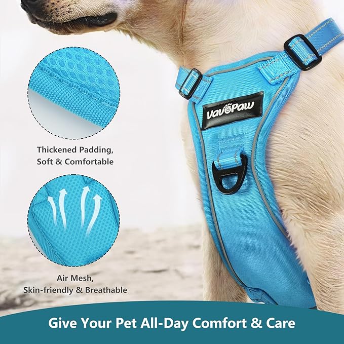 Dog Seat Belt Harness for Car, Dog Car Harness Adjustable Mesh Breathable & Dogs Seatbelt Safety Tether with Elastic Bungee for Small Medium Large Pets(Blue, L)