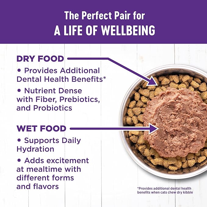 Wellness Complete Health Kitten Dry Cat Food for Indoor & Outdoor Cats, Wholesome Grains, Natural, Original Turkey, Turkey Meal and Chicken (5 Pound Bag)