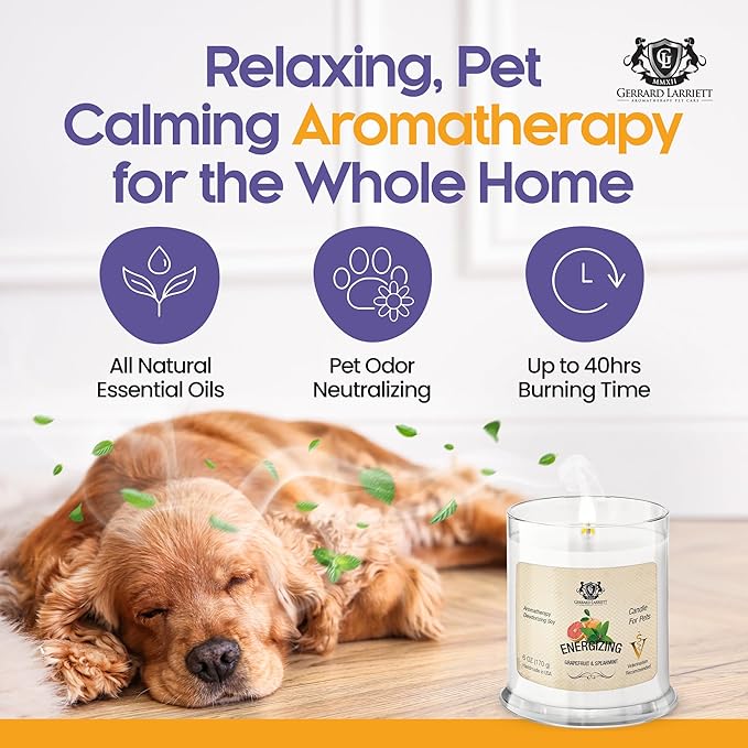 Energizing Grapefruit & Spearmint Scented Candles for Home Decor and Pet Odor - Aromatherapy Stress Relief Soy Wax Candles - Pet Odor Eliminator for Home