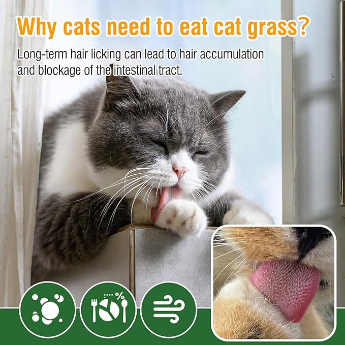 Cat Grass Teething Sticks, 100g/3.52oz Edible Freezed Drying Cat Grass Treats, Cats Snacks for Hairball Removal and Dental Care