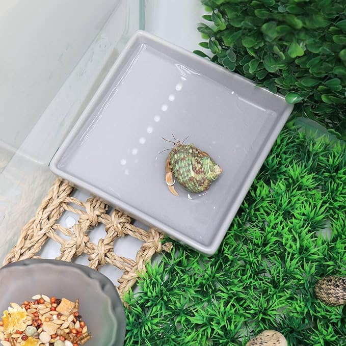 3 Pack Reptile Food Bowl Water Dish, Ceramics Reptile Feeding Bowl, Bearded Dragon Feeding Dish Kit, Tank Terrarium Aquarium Accessory for Hermit Crab Turtle Tortoise Lizard Frog Snail Leopard Gecko
