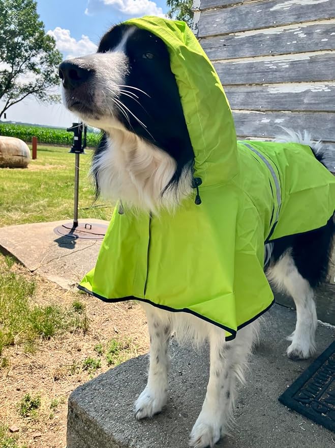Candofly Dog Raincoat Hooded Poncho - Adjustable Waterproof Dog Rain Jacket Lightweight Reflective Dog Rain Coat Pet Slicker for Small Medium Large Dogs (Small, Green)
