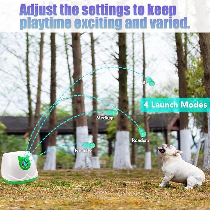 Automatic Ball Launcher for Dogs, Dog Fetch Ball Thrower Launcher, 4 Adjustable Distances, Interactive Pet Self Playing for Small Dogs and Puppies with 10 Balls (2 inches)