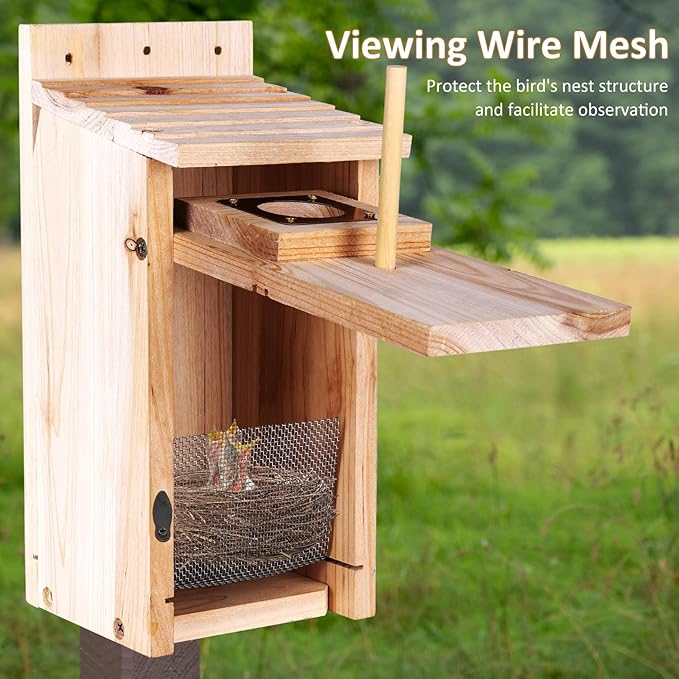 Bird Houses for Outside with Copper Guard,Thicken Wooden Bluebird House Clearance Garden Country Cottages, Nesting Box for Finch Swallow Wren Chickadee Wild Bird Supplies