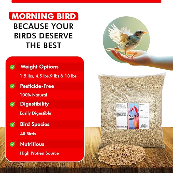 Morning Bird Canary Seed – Nutritional Rich in Vitamins and Supplements for Birds – Ideal for Healthy Feathers and Strong Bones Seed for All Birds Type 9 lbs