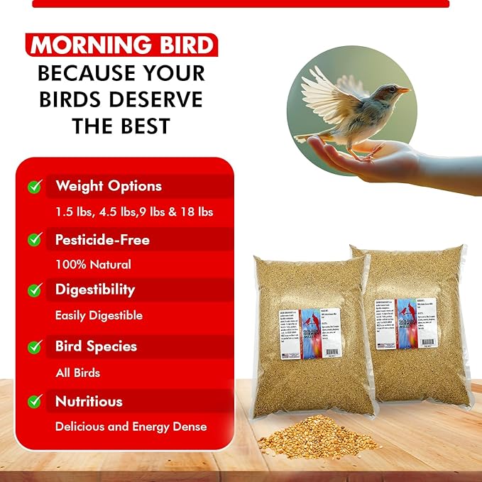 Morning Bird Golden German Millet – Bird Seed & Parakeet Food with Protein & Vitamin B – Easy-to-Digest Millet Seed, Natural Food & Daily Nutrition for All Type of Bird 18 lbs (2-Pack, 9 lbs Each)