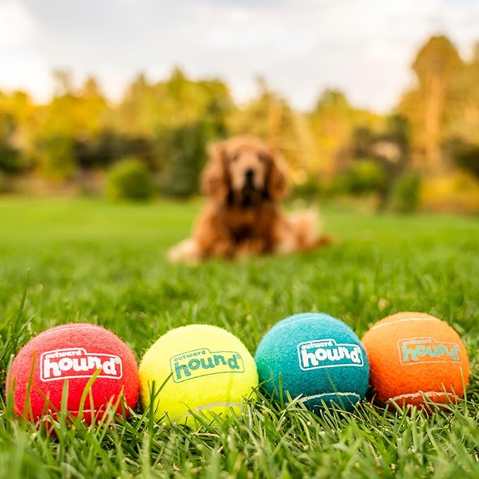 Outward Hound Squeaker Ballz 4-Pack Tennis Ball Dog Toys with Squeaker, Interactive Fetch Play for Pets 50 lbs and Over, Training Balls for Indoor & Outdoor Exercise, Large, 3-inch
