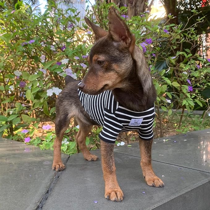 YQYS Pet T-Shirts Thick Striped Cotton Tee Shirt for Small Dogs and Cats Puppy Clothes Apparel Clothing for Teacup Chihuahua Yorkie Poodle Black White Small