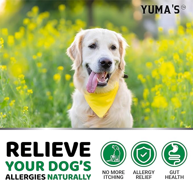 Dog Allergy Relief Chews - Dog Itching Skin Relief Treatment Pills - 170 Treats - Anti-Itch Chewables - Itchy and Paw Licking - Hot Spots - Omega 3 Fish Oil - Dry Skin & Coat Supplement