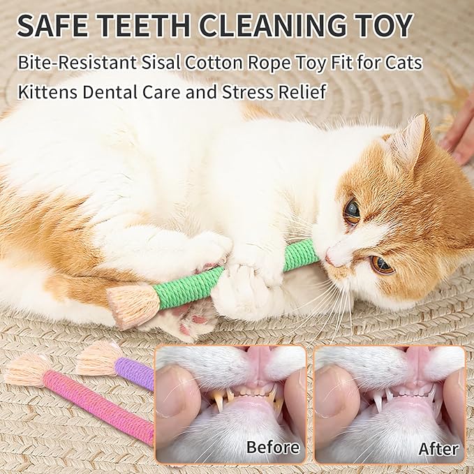 Retro Shaw Cat Toys, 6Pcs Catnip Chew Ropes, Safe Durable Kitten Teething Toys for Indoor Cats, Kitty Kicker Sticks Dental Toy for All Breeds