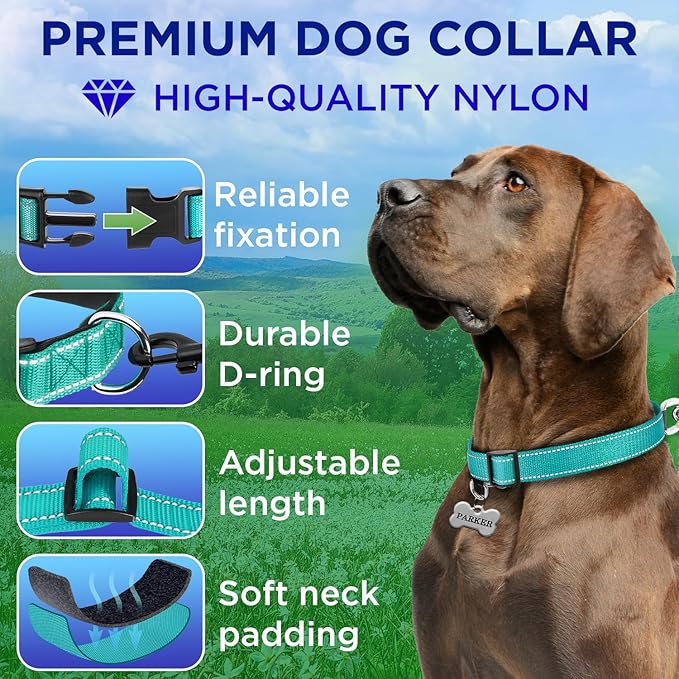 TECEUM Reflective Dog Collar β Teal β XXS β Extra Soft Padding β Basic Nylon Pet Collar β Quick Release Buckle β Fits Small, Medium and Large Dogs, Puppies, Cats β ESA & Service Dog Options