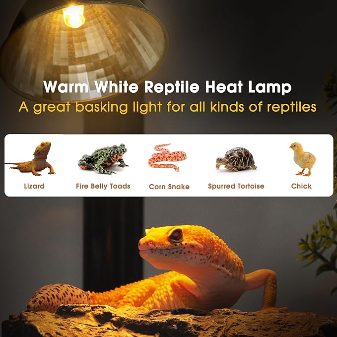 Reptile Heat Lamp 50W G9 Halogen Heat Bulb & Dome Reptile Light Fixture, Aluminum Reflector, UVA Basking Light for Reptiles, Dimmable Heat Lamp for Chicken Turtle Snake Gecko Lizard