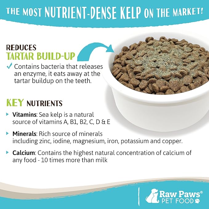 Raw Paws Organic Kelp Powder for Dogs & Cats (16-Ounce) - Supports Thyroid, Digestive & Immune Health - Dried Sea Kelp for Dogs - Seaweed Powder Supplement