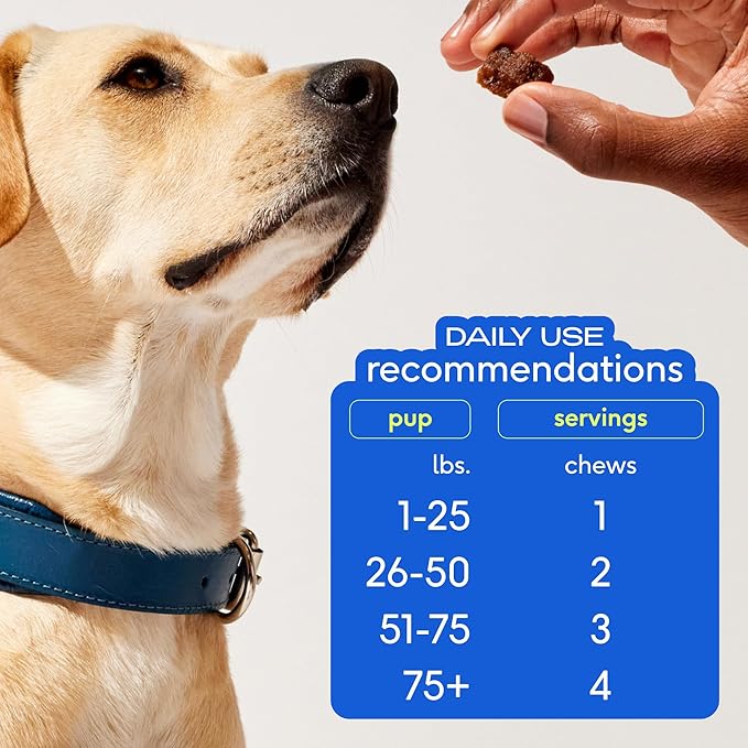 Native Pet Omega Skin and Coat Chews for Dogs - Dog Skin and Coat Supplement for Healthy, Shiny Fur, Reduce Shedding and Dry Spots - Made with Omega 3 Fish Oil and Wild-Caught Salmon Oil - 60 Chews
