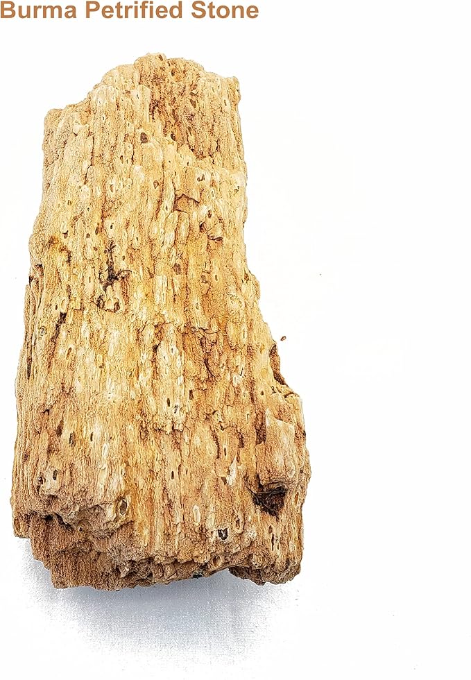 Lifegard Aquatics Aquascaping Burma Petrified Stone Kit – Decorative Aquarium Rocks, Fish Tanks – 25 Gallon Kits